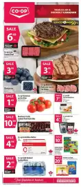 Co-op flyer week 27 Page 1