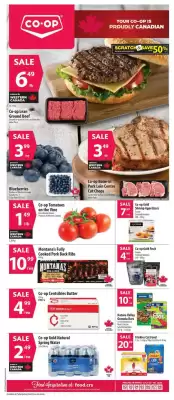 Co-op flyer (valid until 8-07)