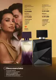 Catálogo Natura Página 41