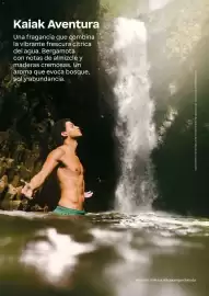 Catálogo Natura Página 42