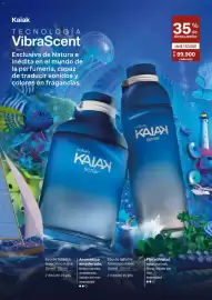 Catálogo Natura Página 45