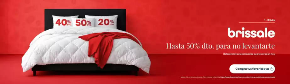 Catálogo Brissa Página 1