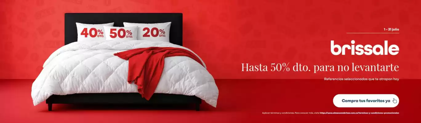 Brissa (válido hasta 31-07)