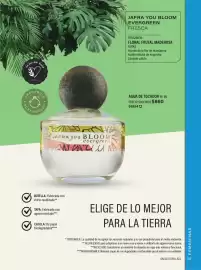 Catálogo Jafra Página 169