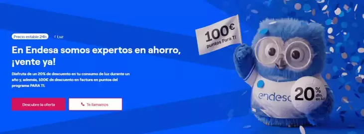 Folleto ENDESA Página 2