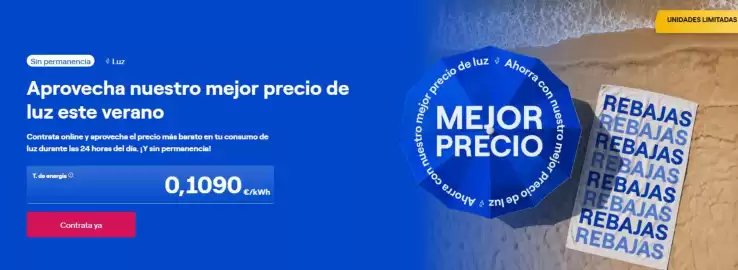 Folleto ENDESA Página 3