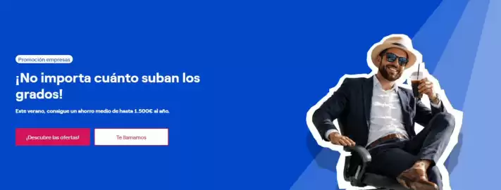 Folleto ENDESA Página 4