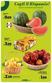 Volantino Ipercoop Pagina 24