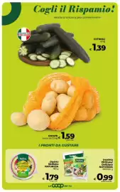 Volantino Ipercoop Pagina 26