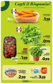 Volantino Ipercoop Pagina 27