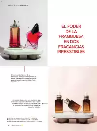 Catálogo Palacio de Hierro Página 41