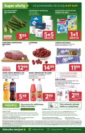Stokrotka Market gazetka tydzień 27 Strona 31