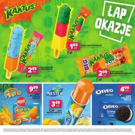 Stokrotka gazetka Strona 13