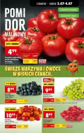 Biedronka gazetka tydzień 27 Strona 17