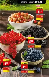 Biedronka gazetka tydzień 27 Strona 19