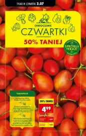 Biedronka gazetka tydzień 27 Strona 65