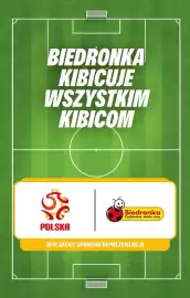 Biedronka gazetka Strona 5