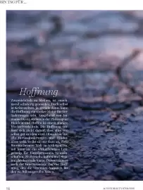 Dm Flugblatt Seite 14