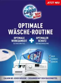 Dm Flugblatt Seite 24