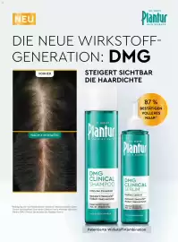 Dm Flugblatt Seite 34