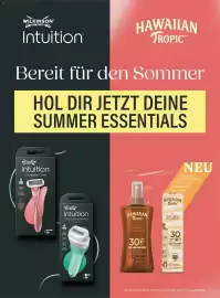 Dm Flugblatt Seite 8