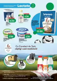 Catalog Diana Supermarket Pagină 3