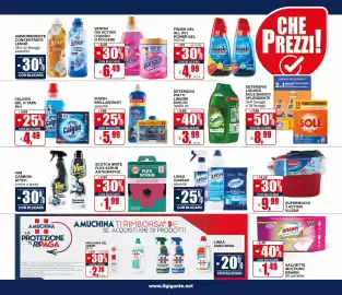 Volantino Il Gigante Pagina 11
