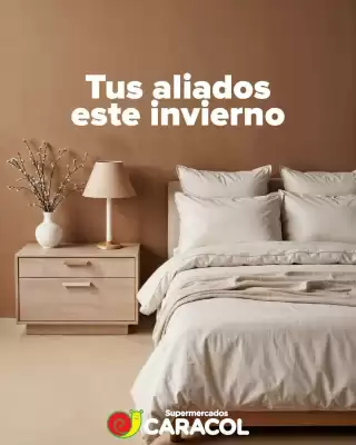 Caracol (válido hasta 5-07)