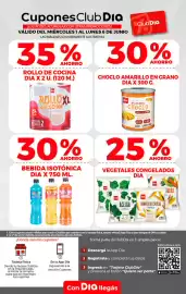 Folleto Supermercados DIA semana 27 Página 11