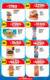Folleto Supermercados DIA semana 27 Página 13