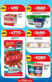 Folleto Supermercados DIA semana 27 Página 15