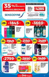 Folleto Supermercados DIA semana 27 Página 22