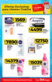 Folleto Supermercados DIA semana 27 Página 24
