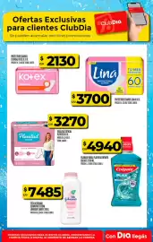 Folleto Supermercados DIA semana 27 Página 25