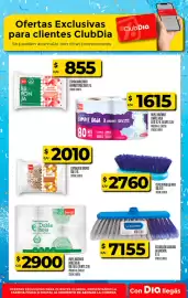 Folleto Supermercados DIA semana 27 Página 26