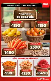 Folleto Supermercados DIA semana 27 Página 8