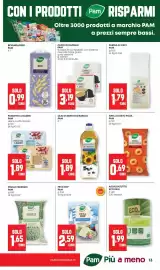 Volantino Pam Pagina 13
