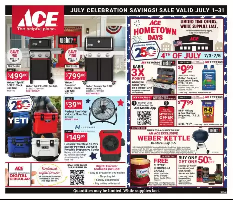 Ace Hardware (valid until 31-07)
