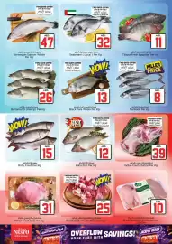 Nesto catalogue Page 17