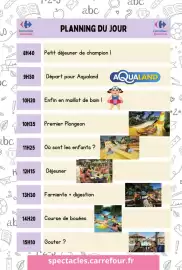 Catalogue Carrefour | A chacun sa culture page 39