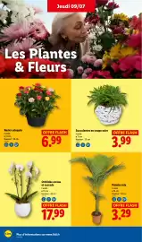 Catalogue Lidl semaine 28 page 29