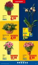 Catalogue Lidl semaine 28 page 30
