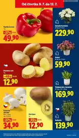 Lidl leták Strana 11
