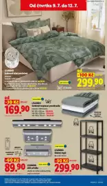 Lidl leták Strana 43