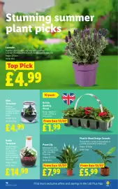 Lidl leaflet week 28 Page 14