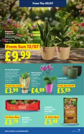 Lidl leaflet week 28 Page 15