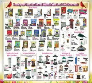 Ocean State Job Lot flyer week 27 Page 21