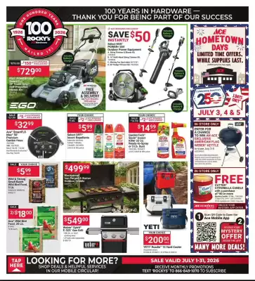 Ace Hardware (valid until 31-07)
