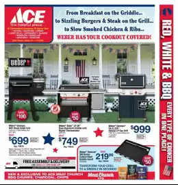 Ace Hardware flyer Page 3
