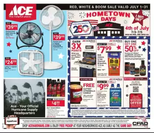 Ace Hardware flyer Page 1